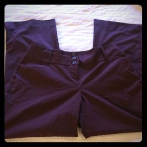 Burgundy Limited lexie slacks